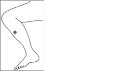 Magen 37